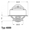 Termostat WAHLER (WH 4089.87D)