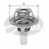 Termostat GATES (GT TH23491G1) - RENAULT