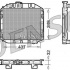 Chladič motoru DENSO (DE DRM10001)