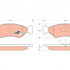 Sada brzdových destiček TRW GDB953 - FORD FIESTA
