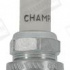 Zapalovací svíčka CHAMPION (CCH842)