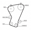 Rozvodový řemen GATES (GT 5071) - FIAT