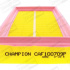 Vzduchový filtr CHAMPION (CH CAF100709P) - FIAT, LANCIA