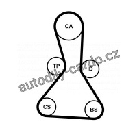 Rozvodový řemen CONTINENTAL CTAM CT1159