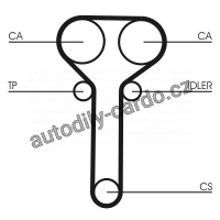 Sada rozvodového řemene CONTINENTAL CTAM CT978K1