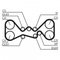 Rozvodový řemen CONTINENTAL CTAM CT1058