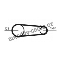 Sada drážkového řemene CONTINENTAL CTAM 6PK842 ELAST T1