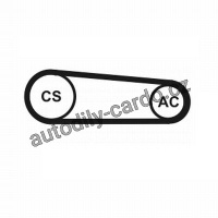 Sada drážkového řemene CONTINENTAL CTAM 4PK917 ELAST T1
