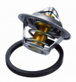 Termostat, chladivo WAHLER (3017.87D2)