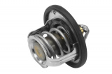 Termostat WAHLER (WH 410229.82D)