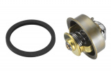 Termostat WAHLER (WH 4089.87D)