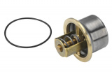 Termostat WAHLER (WH 4621.80D)