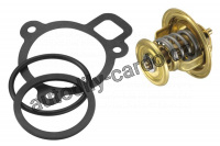 Termostat WAHLER (WH 4256.87D50)