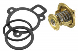 Termostat WAHLER (WH 4256.87D50)