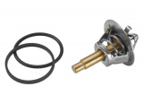 Termostat, chladivo WAHLER ( 3457.90D)