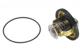 Termostat, chladivo WAHLER (4174.88D)