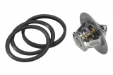 Termostat WAHLER (WH 3136.82D50)
