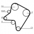 Rozvodový řemen CONTINENTAL CTAM CT762 Rozvodový řemen CONTINENTAL CTAM CT762