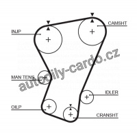 Rozvodový řemen GATES (GT 5065) - FIAT Rozvodový řemen GATES (GT 5065) - FIAT