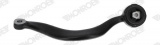 Řídící páka, zavěšení kol MONROE (MO L11548)