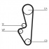 Rozvodový řemen CONTINENTAL CTAM CT798 Rozvodový řemen CONTINENTAL CTAM CT798