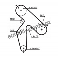Rozvodový řemen GATES (GT 5391XS) - RENAULT Rozvodový řemen GATES (GT 5391XS) - RENAULT
