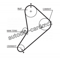 Rozvodový řemen GATES (GT 5021) - FORD Rozvodový řemen GATES (GT 5021) - FORD