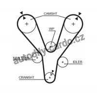 Rozvodový řemen GATES (GT 5555XS) - HYUNDAI Rozvodový řemen GATES (GT 5555XS) - HYUNDAI