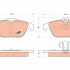 Sada brzdových destiček TRW GDB1738 -
