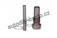 Napínač, rozvodový řetěz INA (IN 551012210)