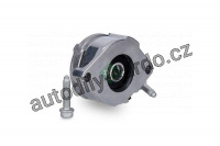 Tlumič vibrací (napínák) INA (IN 533008630) - AUDI