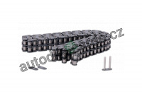 Rozvodový řetěz INA (IN 553005110)