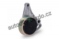 Napínací kladka INA (IN 531030910)