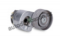 Tlumič vibrací (napínák) INA (IN 534014230) - RENAULT