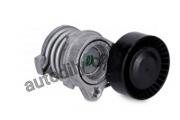 Tlumič vibrací (napínák) INA (IN 534005010) - BMW