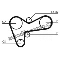 Rozvodový řemen CONTINENTAL CTAM CT508
