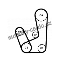Sada rozvodového řemene CONTINENTAL CTAM CT839K2PRO