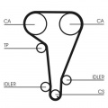 Sada rozvodového řemene CONTINENTAL CTAM CT728K1
