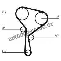 Sada rozvodového řemene s vodní pumpou CONTINENTAL CTAM CT1035WP4