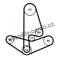 Sada rozvodového řemene s vodní pumpou CONTINENTAL CTAM CT1001WP2PRO