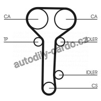 Sada rozvodového řemene CONTINENTAL CTAM CT978K2