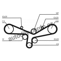 Sada rozvodového řemene s vodní pumpou CONTINENTAL CTAM CT920WP2