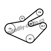 Sada drážkového řemene CONTINENTAL CTAM 7PK1795K1