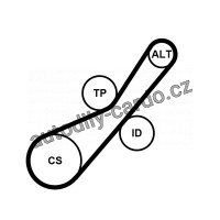 Sada drážkového řemene CONTINENTAL CTAM 6PK800K1