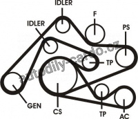 Sada drážkového řemene CONTINENTAL CTAM 6PK2404D2