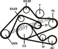 Sada drážkového řemene CONTINENTAL CTAM 6PK2404D1