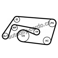 Sada drážkového řemene CONTINENTAL CTAM 6PK2260K2