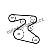 Sada drážkového řemene a vodní pumpy CONTINENTAL CTAM 6PK1873WP1