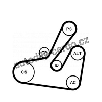 Sada drážkového řemene CONTINENTAL CTAM 6PK1795K2