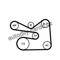 Sada drážkového řemene a vodní pumpy CONTINENTAL CTAM 6PK1733WP3
